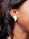 Sasha Afrika Earrings - (Brass)+Polisher